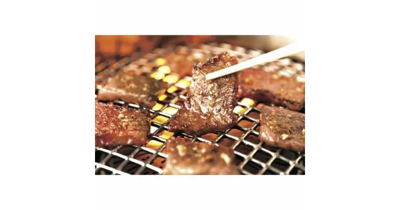 【ふるさと納税】＜創業40年、焼肉一筋＞　老舗焼肉店の共通お食事券（3,000円分）【リソウグループ】　山口県 宇部市 創業 40年 焼肉 一筋 人気 焼肉彩苑じゅうじゅう亭 焼肉広場ボンボン お食事券 家族 外食