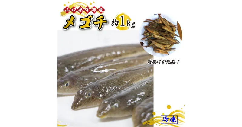 【ふるさと納税】 メゴチ ・ メコチ (1kg) 【 魚 新鮮 ツマミ 唐揚げ 市場直送 山口県 宇部市 】