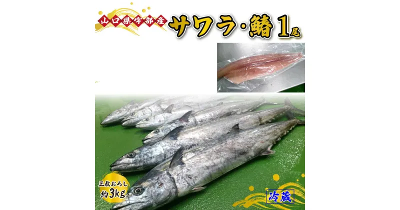 【ふるさと納税】 《三枚おろし》 サワラ ・ 鰆 (1尾 約3kg) 【 魚 新鮮 ツマミ 刺身 塩焼き 市場直送 山口県 宇部市 】