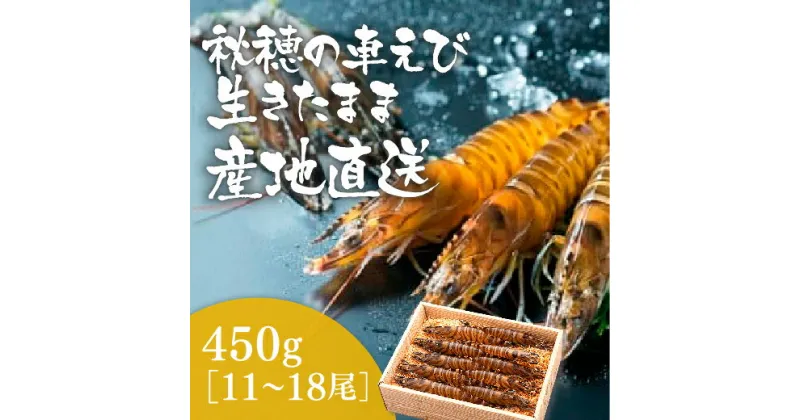 D090【ふるさと納税】活きあいおえび450g（11〜18尾）