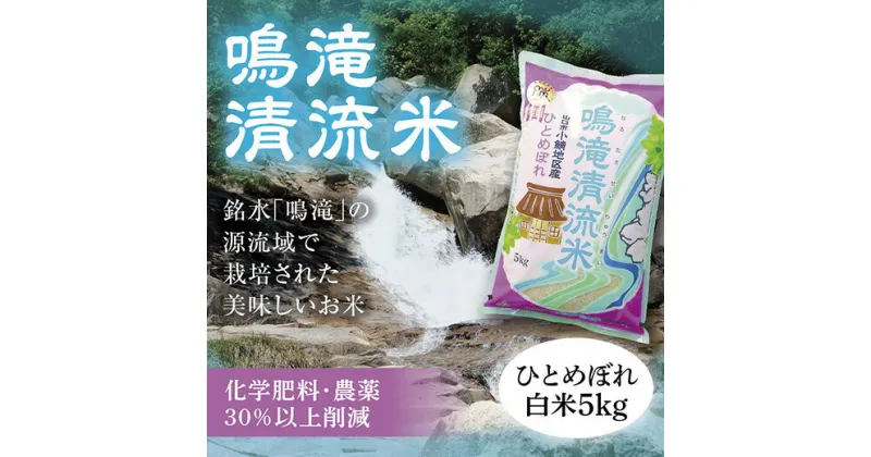 D294【ふるさと納税】鳴滝清流米白米5kg