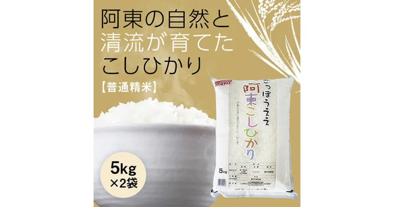 D309【ふるさと納税】阿東こしひかり（普通精米5kg×2）