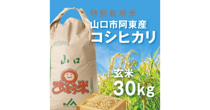 C072【ふるさと納税】特別栽培米阿東産コシヒカリ玄米30kg