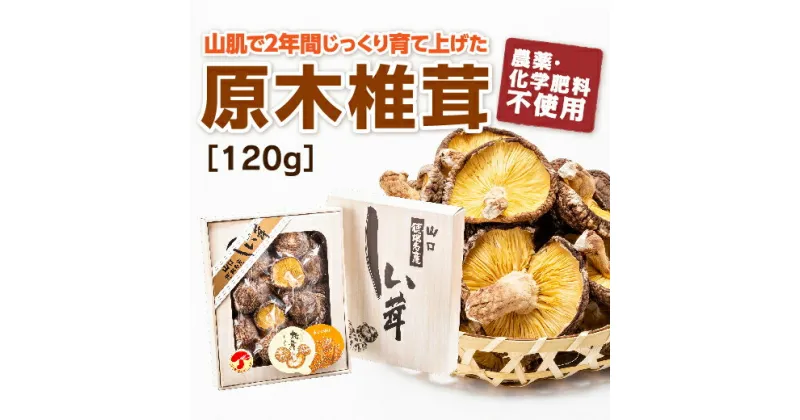 D190【ふるさと納税】山口徳地産原木栽培乾しいたけ120g