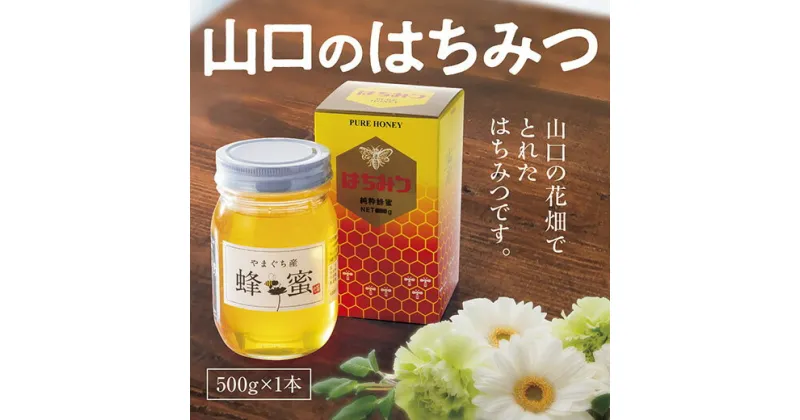 D155【ふるさと納税】山口のはちみつ　500g