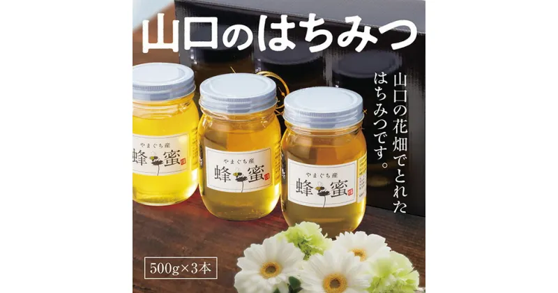 C033【ふるさと納税】山口のはちみつ　500g×3本