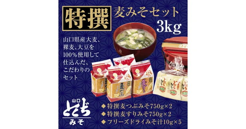 D124【ふるさと納税】とくぢ味噌特撰詰め合わせ3kg