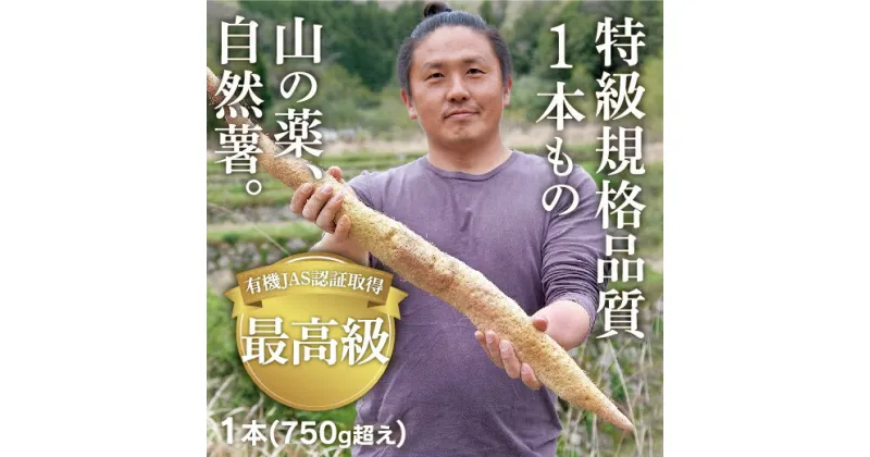 D173【ふるさと納税】ミライエfarm特級規格品質1本もの750g超えサイズ　最高級自然薯