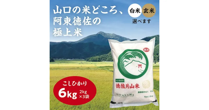 D175【ふるさと納税】徳佐片山米こしひかり6kg