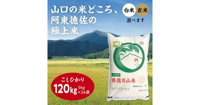 A025【ふるさと納税】徳佐片山米こしひかり120kg