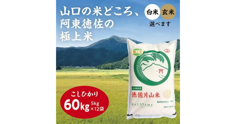 A053【ふるさと納税】徳佐片山米こしひかり60kg