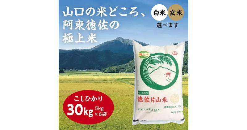 B037【ふるさと納税】徳佐片山米こしひかり30kg