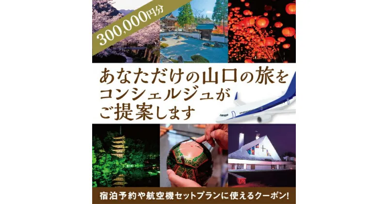 A002【ふるさと納税】山口オーダーメイド旅行クーポンA