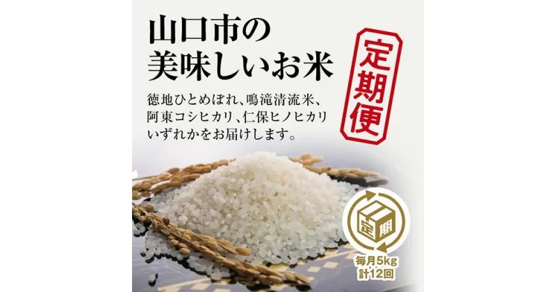 A065【ふるさと納税】山口の美味しいお米定期便　5kg×12回（白米）