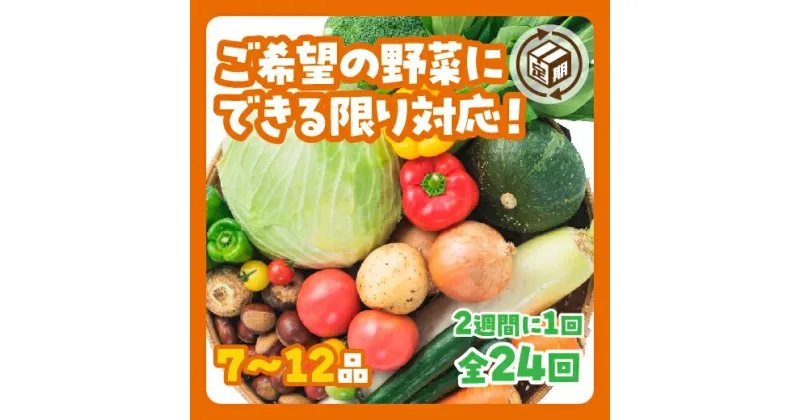 A028【ふるさと納税】わがままお野菜定期便（24回）