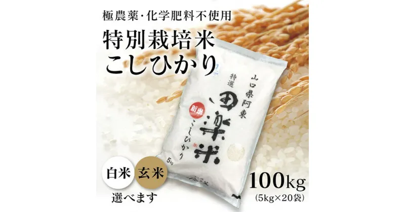 A022【ふるさと納税】「田楽米」コシヒカリ100kg≪エコやまぐち50認証取得≫