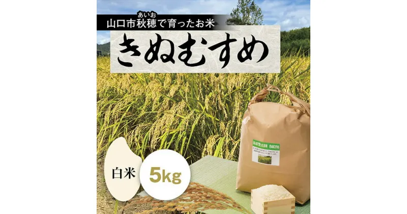 D312【ふるさと納税】あいお（秋穂）で育ったお米 きぬむすめ 白米 5kg