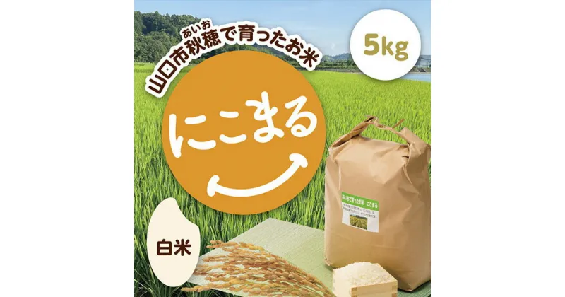 D313【ふるさと納税】あいお（秋穂）で育ったお米 にこまる 白米 5kg