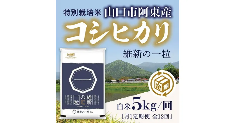 A066【ふるさと納税】維新の一粒5kg×12袋（白米）（月1定期便）