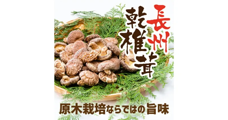 E046【ふるさと納税】長州乾椎茸セット(ホール35g×2袋＋スライス28g×1袋)