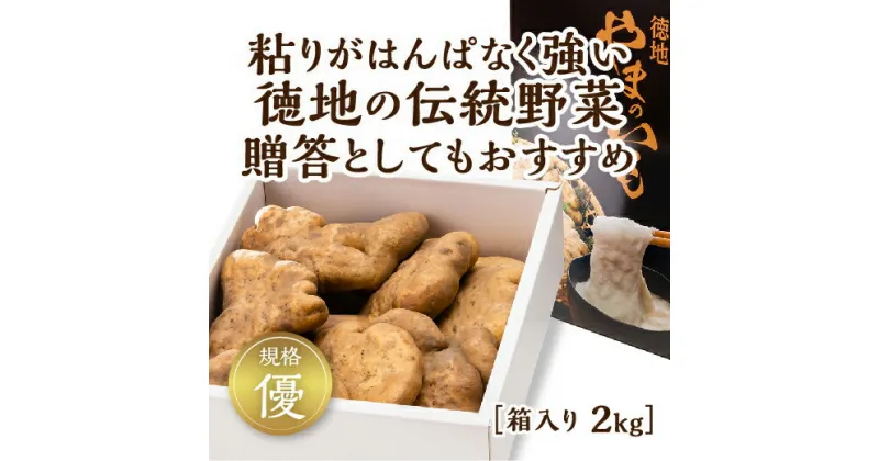 D120【ふるさと納税】徳地やまのいも箱入り2kg（優）