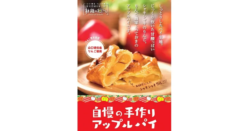 D304【ふるさと納税】山口・徳佐　林檎の樹ららのアップルパイ（8個入）