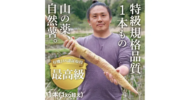 C042【ふるさと納税】ミライエfarm特級規格品質1本もの1キロ超え特大サイズ　最高級自然薯