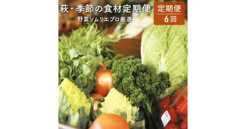 【ふるさと納税】【野菜ソムリエプロ厳選】萩・季節の食材定期便【6回コース】　定期便・セット・詰合せ・野菜・野菜セット