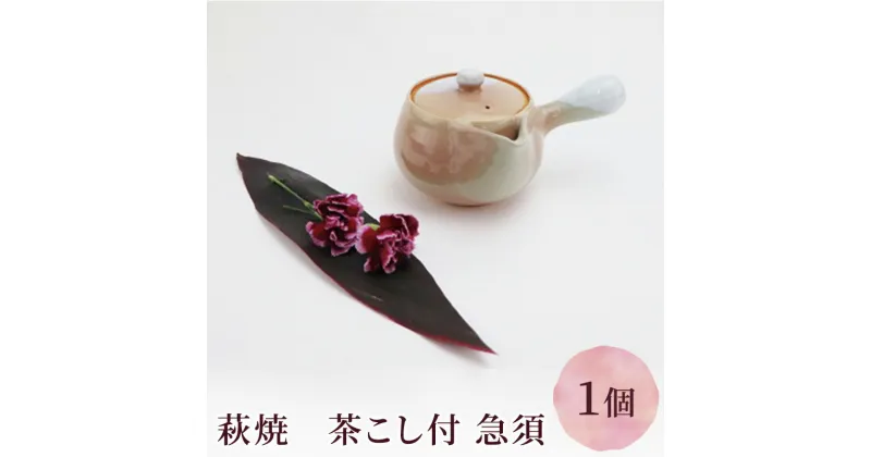 【ふるさと納税】萩焼　茶こし付 急須　工芸品・民芸品