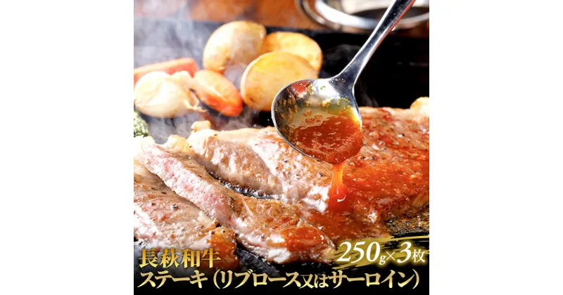 【ふるさと納税】長萩和牛ステーキ（リブロース又はサーロイン）　250g×3枚　お肉・牛肉・ステーキ