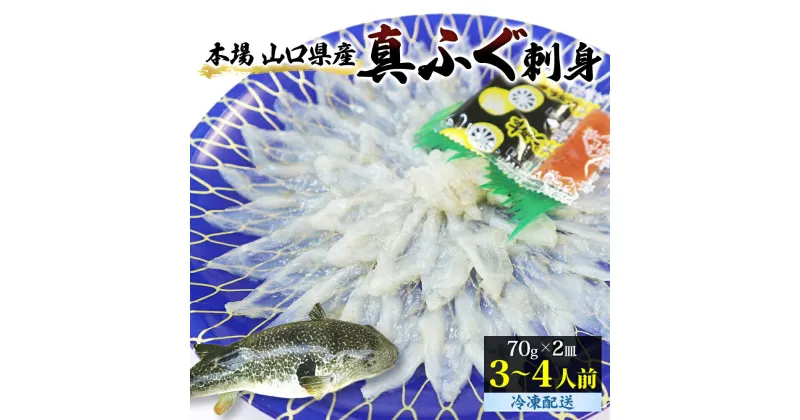 【ふるさと納税】ふぐ 刺身 真ふぐ 140g (70g×2皿) 山口県産 フグ 刺し身 魚 魚介 魚介類 海鮮 天然　 萩市