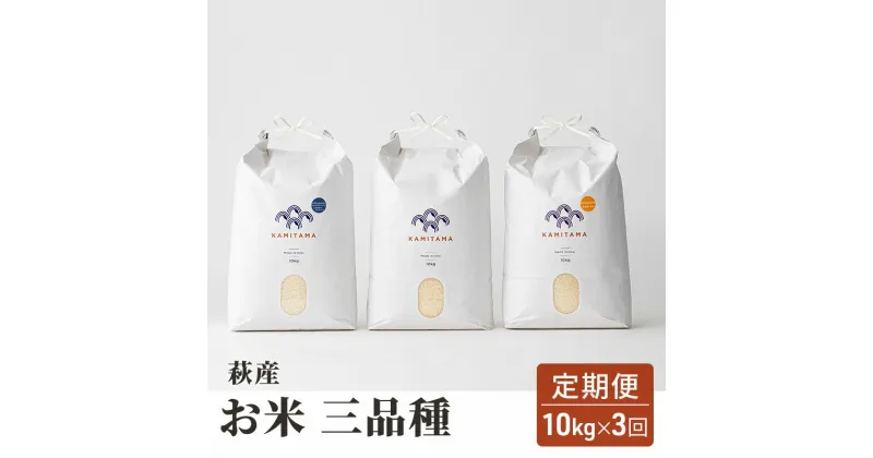 【ふるさと納税】定期便 三品種 米 令和6年 10kg×3回 コメ こめ 萩産 KAMITAMA　定期便・萩市