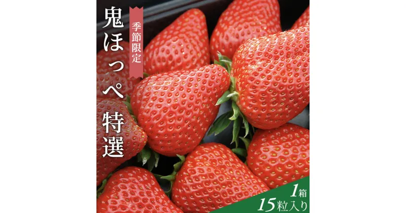 【ふるさと納税】【道の駅萩往還の名物イチゴ】「鬼ほっぺ(登録商標)」 特選（15粒入）　果物類・いちご・苺・イチゴ　お届け：2025年1月15日～3月31日