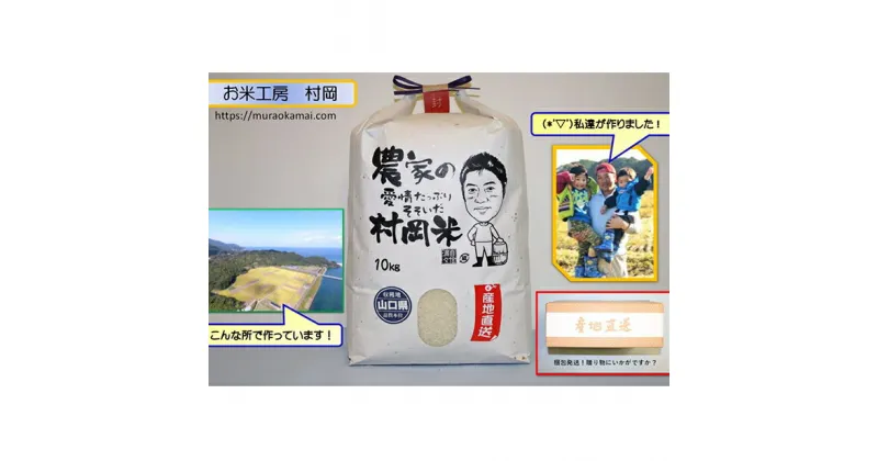 【ふるさと納税】令和6年萩産 村岡米「コシヒカリ」 精米10kg　コシヒカリ・お米