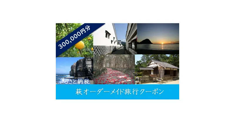 【ふるさと納税】萩オーダーメイド旅行クーポン300，000円分　パッケージ旅行・旅行