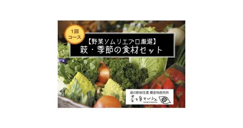 【ふるさと納税】【野菜ソムリエプロ厳選】萩・季節の食材セット【定期便お試し1回コース】　野菜・野菜セット・果物類・フルーツ