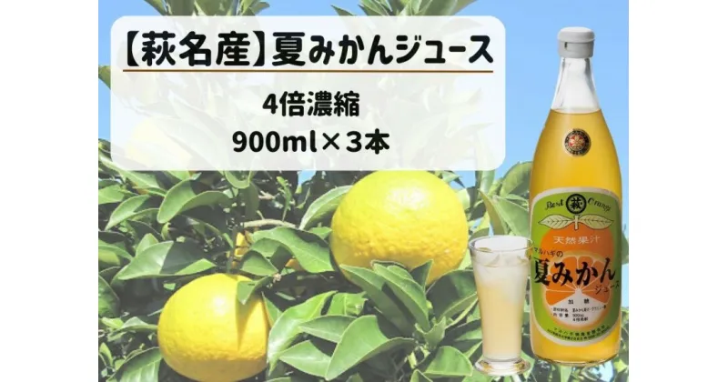 【ふるさと納税】【萩名産】夏蜜柑ジュース（4～5倍濃縮・3本セット）　果汁飲料・野菜飲料・みかんジュース・夏蜜柑ジュース・ジュース・みかん味