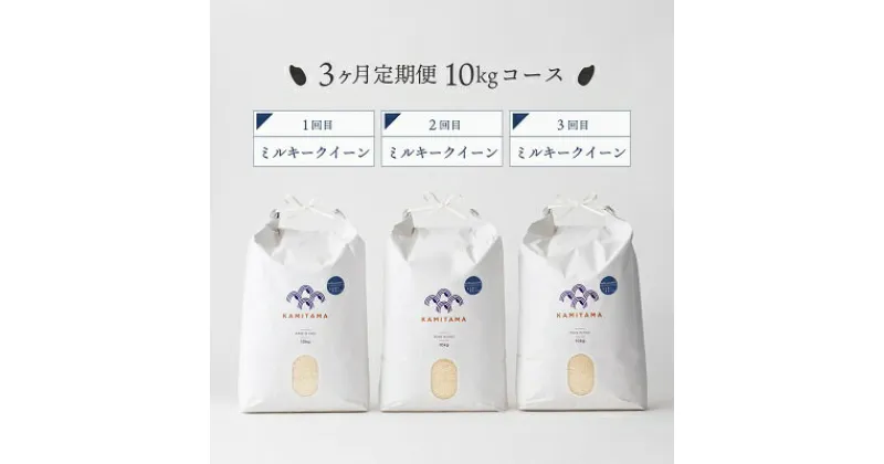 【ふるさと納税】定期便 3か月 ミルキークイーン 令和6年 10kg 米 コメ こめ 萩産 KAMITAMA　定期便・米・お米・ミルキークイーン・3か月・3回