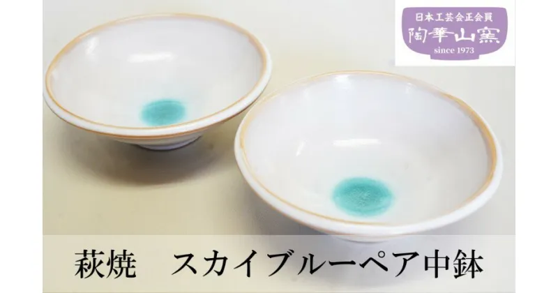 【ふるさと納税】萩焼 スカイブルーペア中鉢　 工芸品 食器 皿 中鉢 和風 ペア