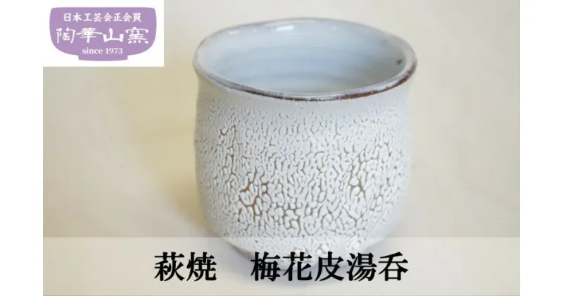 【ふるさと納税】萩焼　梅花皮湯吞　 工芸品 食器 湯呑 和風 かいらぎ釉