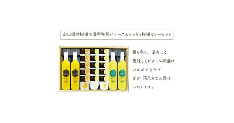 【ふるさと納税】 柑橘 濃厚希釈 ジュース もっちり 柑橘ゼリー セット 山口県産 果物 フルーツ ギフト　飲料類・果汁飲料・セット・ジュース・お菓子・ゼリー・ジュレ