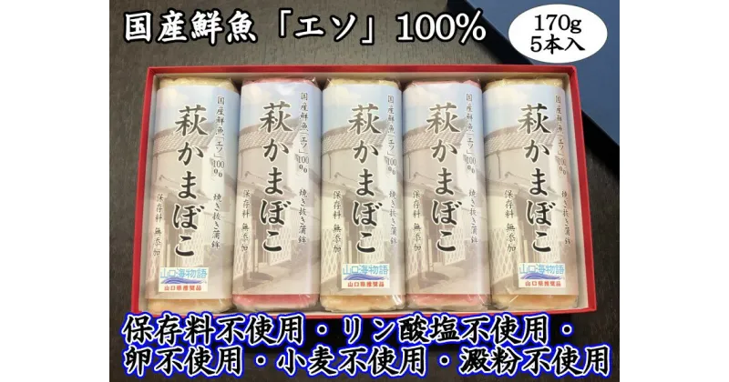 【ふるさと納税】萩かまぼこ 170g 紅白5本【化粧箱入】（国産鮮魚エソ100％）　 練り物 かまぼこ エソ 焼き抜き蒲鉾 低カロリー 正月 板わさ おつまみ 　お届け：2024年12月10日～2024年12月28日