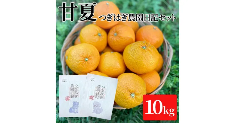 【ふるさと納税】みかん 甘夏 10kg セット 『つぎはぎ農園日記』つぎはぎセット 果物 柑橘 ミカン フルーツ　お届け：2025年3月下旬～4月末