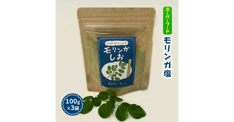 【ふるさと納税】塩 調味料 モリンガ塩 100g×3袋 スーパーフード モリンガ 健康　萩市