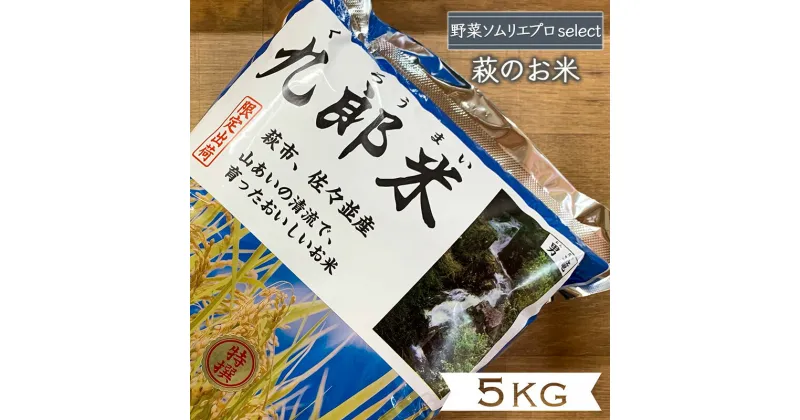 【ふるさと納税】コシヒカリ 5kg 九郎米 特選 野菜ソムリエ プロselect 萩のお米 萩市 佐々並産 米 お米 白米　萩市