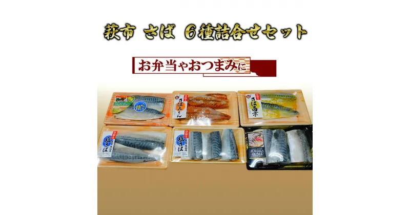 【ふるさと納税】さば セット 6点 詰合せ 魚 加工品 詰め合わせ 塩サバ 塩さば さばみりん 西京漬け 松村産業　萩市