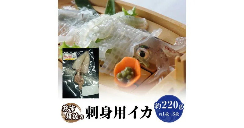 【ふるさと納税】イカ 刺身用 約220g 烏賊 いか 魚介 魚介類