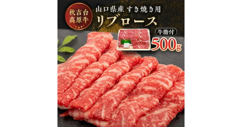 【ふるさと納税】山口県産　秋吉台高原牛　リブロースすき焼き用　500g_ 牛肉 肉 和牛 リブロース 国産 すき焼き用 ビーフ 山口県 高原牛 秋吉台 交雑種 黒毛和種 無角和種 和牛間交雑種 冷凍 グルメ 贈答 ギフト 500g 産地直送 【配送不可地域：離島】【1232609】