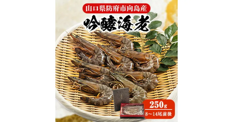 【ふるさと納税】【山口県防府市向島産】吟醸海老250g【配送不可地域：離島】【1330466】