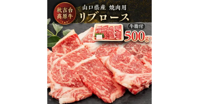 【ふるさと納税】山口県産　秋吉台高原牛リブロース焼肉500g_ 牛肉 肉 和牛 リブロース 国産 焼肉 ビーフ 山口県 高原牛 秋吉台 交雑種 黒毛和種 無角和種 和牛間交雑種 冷凍 グルメ 贈答 ギフト 500g 産地直送 牛脂付 【配送不可地域：離島】【1444666】